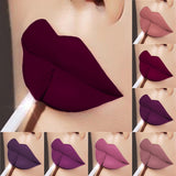 Matte Lip Gloss Waterproof Long Lasting Lipstick